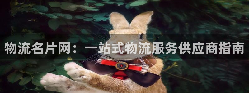 28圈.ccm正版