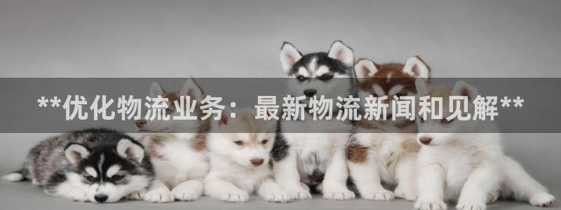 28圈注册网站APP：**优化物流业