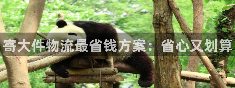 28圈游戏：寄大件物流最省钱方案：省