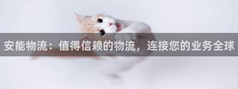 28圈圈助手