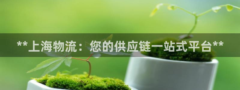 28圈系统自动保护
