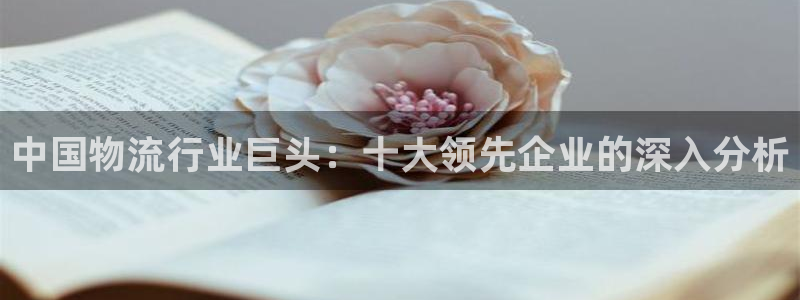 28圈注册网页版：中国物流行业巨头：