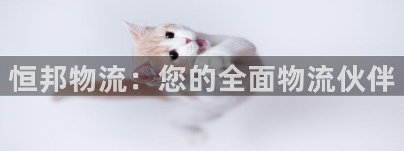 28圈初始资金密码是什么：恒邦物流：