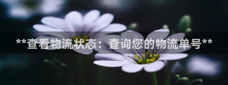 28圈稳吗