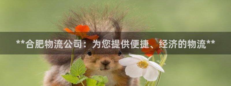 28圈注册链接：**合肥物流公司：为