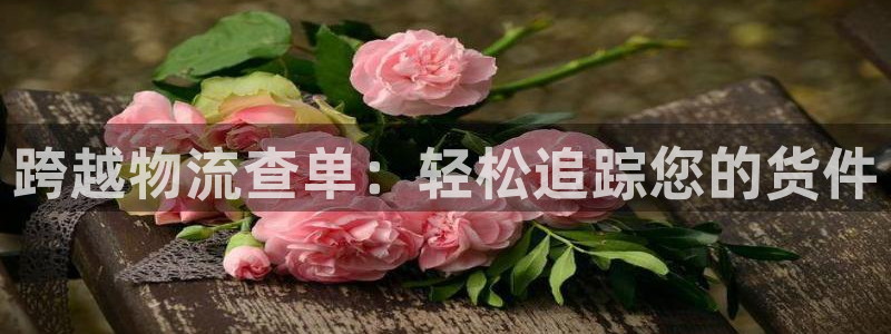 28圈加拿大怎么玩