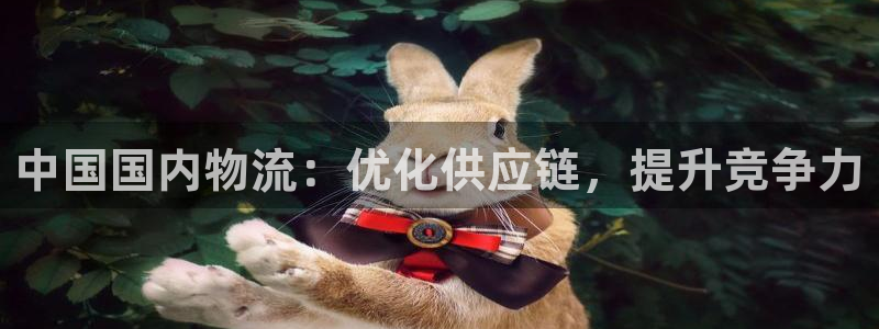 28圈体育下载