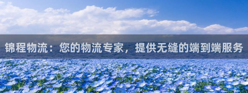 28圈注册上限是啥意思：锦程物流：您