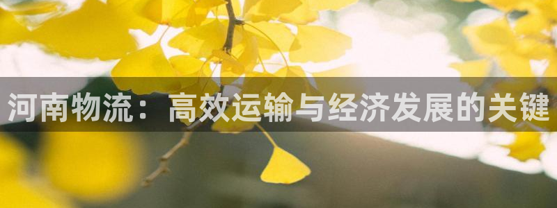 28圈注册送：河南物流：高效运输与经