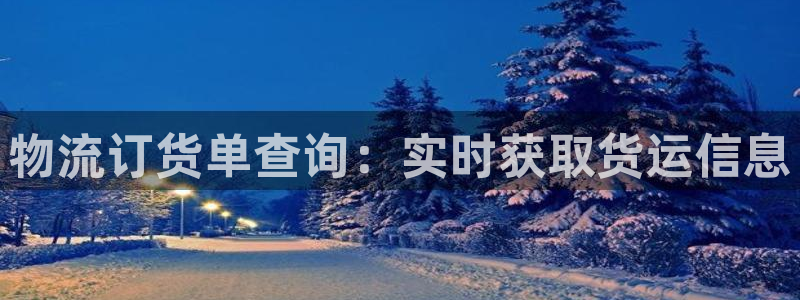 28圈注册网页：物流订货单查询：实时