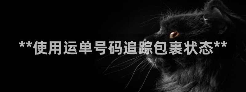 28圈注册入口与教程：**使用运单号