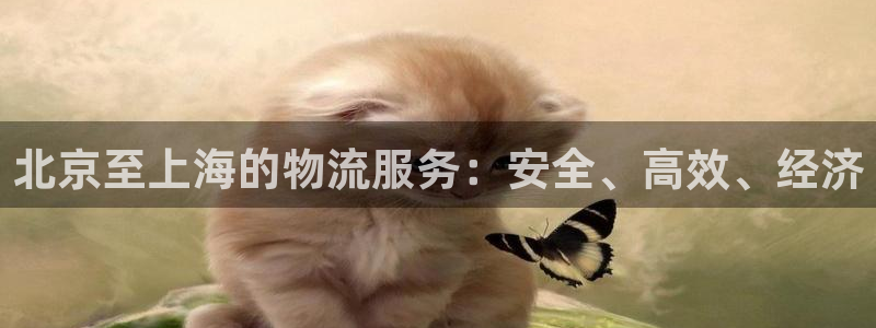 28圈选28ng官网