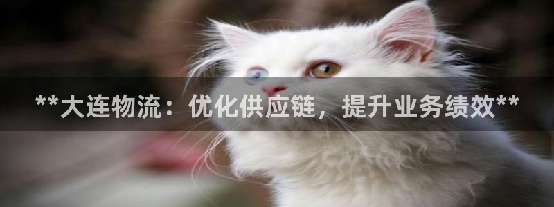 28圈客服一直不回消息怎么办