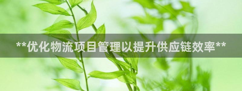 28圈体育下载