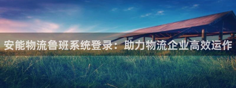 28圈充值不到账怎么回事：安能物流鲁