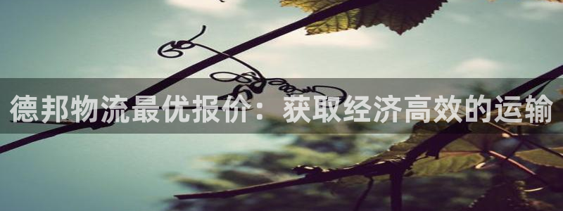 28圈充值方式