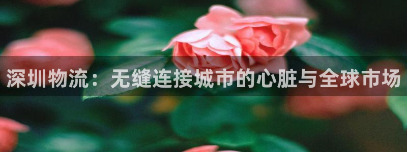 28圈平台注册：深圳物流：无缝连接城