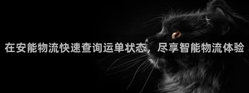 28圈p图上分下款通道
