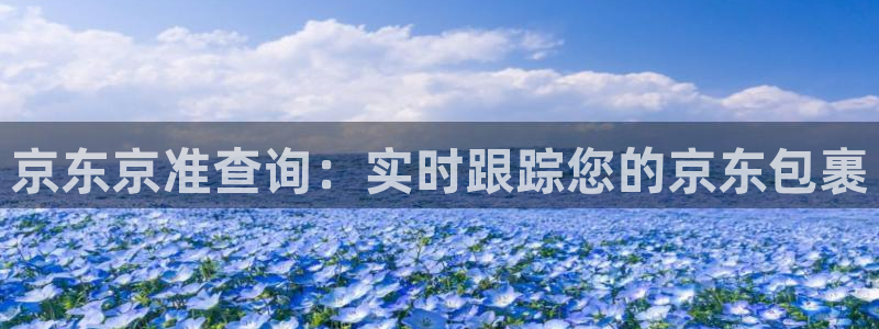 28圈pg麻将胡了2老是空转：京东京