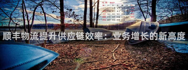 28圈合法吗：顺丰物流提升供应链效率