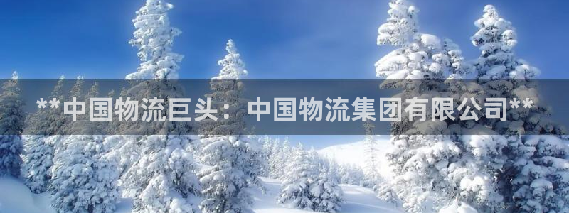 28圈链接多少