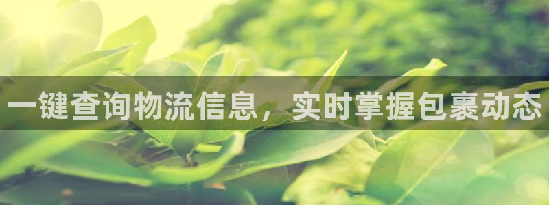 28圈官网平台下载