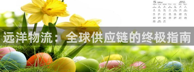 28圈注册链接：远洋物流：全球供应链