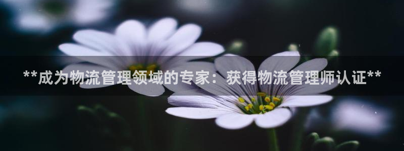 28圈大舞台