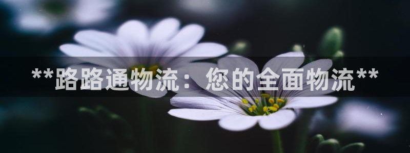 28圈新用户怎么注册：**路路通物流
