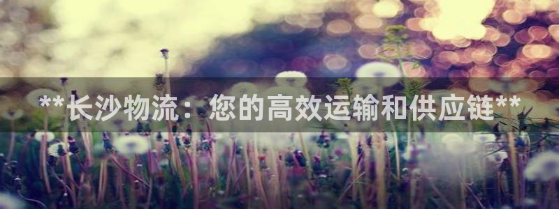 28圈注册问一问：**长沙物流：您的