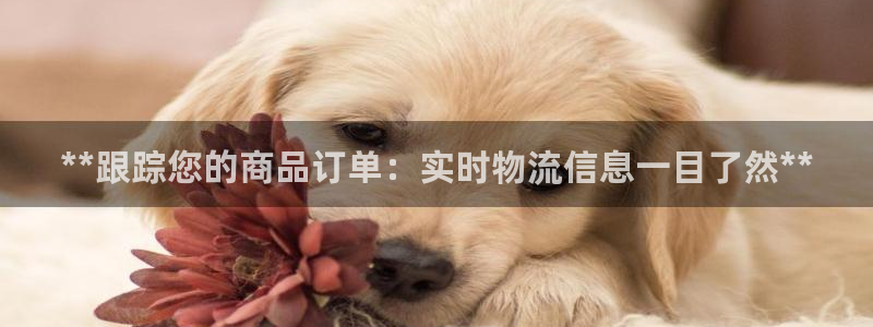28圈圈助手