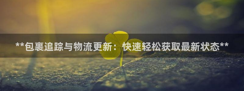 28圈加拿大最新版