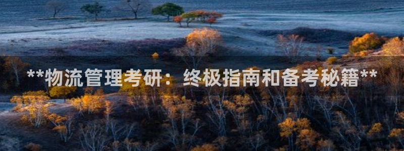 28圈加拿大怎么玩