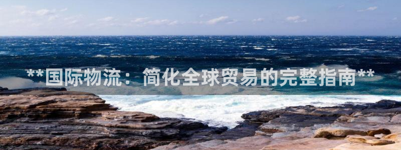 28圈注册登录链接流程：**国际物流