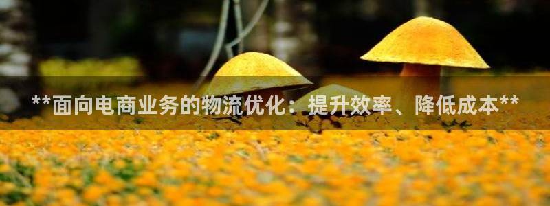 28圈登录流程：**面向电商业务的物