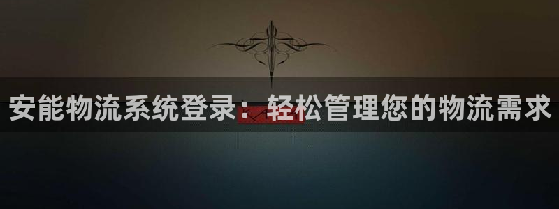 28圈加拿大是什么：安能物流系统登录