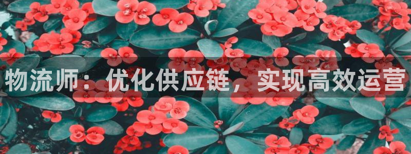 28圈链接