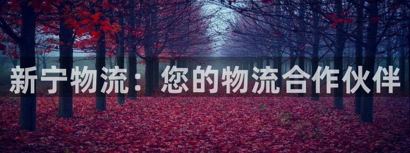 28圈自行车图片：新宁物流：您的物流