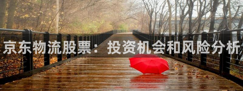 28圈注册步骤：京东物流股票：投资机