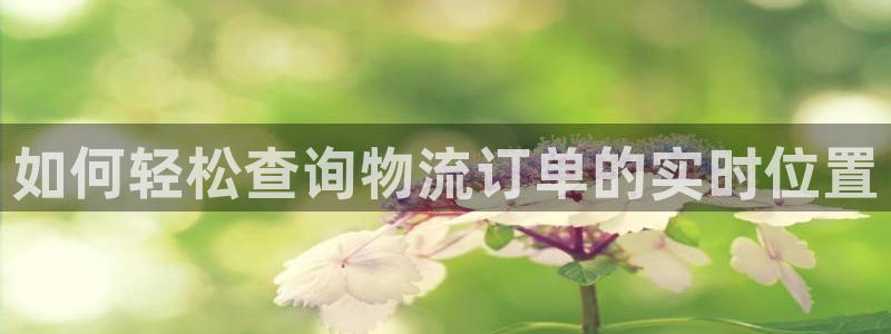 28圈注册网址：如何轻松查询物流订单