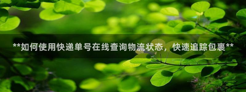 28圈ccm官网版：**如何使用快递