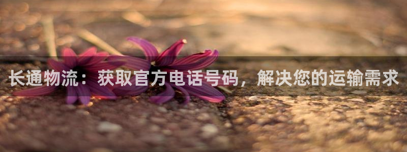 28圈网站怎么注册：长通物流：获取官