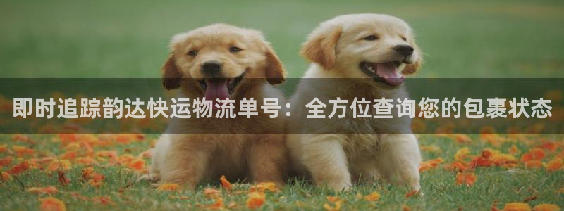 28圈注册用户名是什么：即时追踪韵达