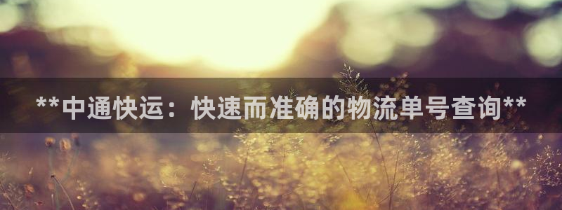 28圈注册：**中通快运：快速而准确