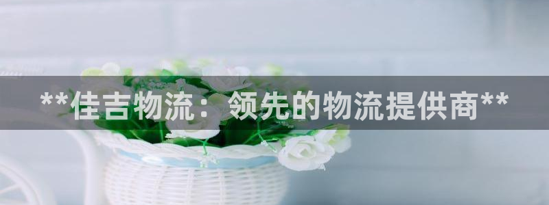 28圈官网版2024