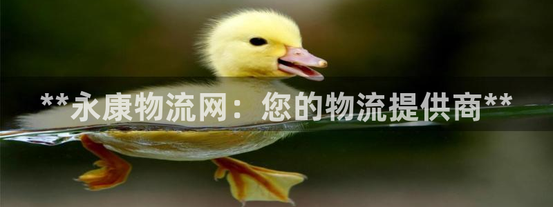 28圈体育下载：**永康物流网：您的