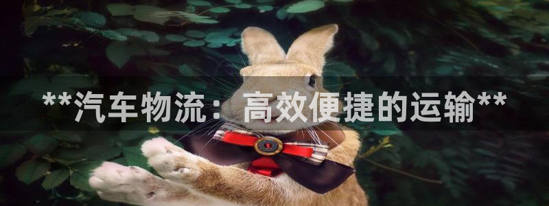 28圈比特28预测在线预测