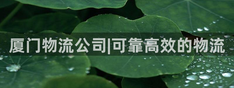 28圈.ccmpc预测