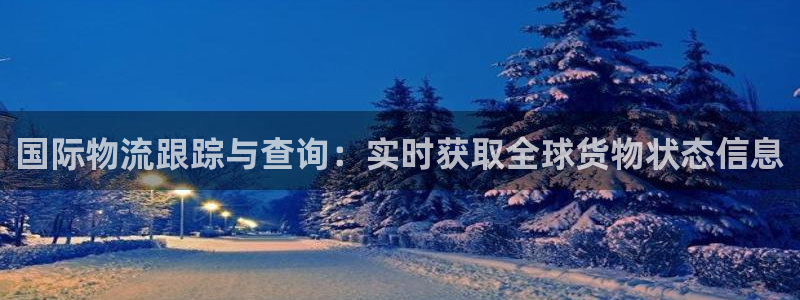 28圈选28ng官网：国际物流跟踪与