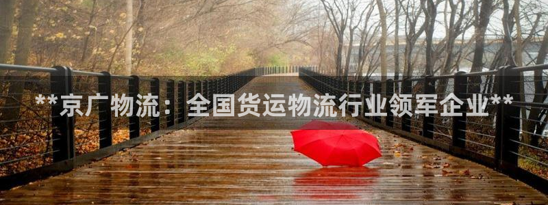 28圈激活码